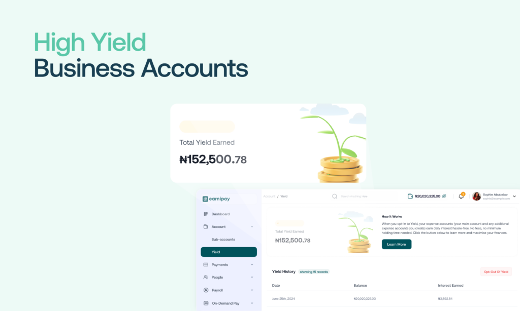 Power business growth with Earnipay high-yield business accounts